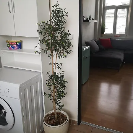 דירה Apartman 11 *